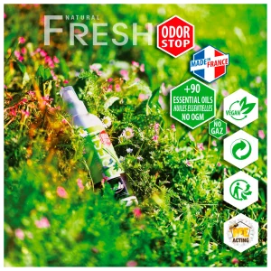 EB – Fresh 200 – Produit D’entretien Chaussures online boutique 7