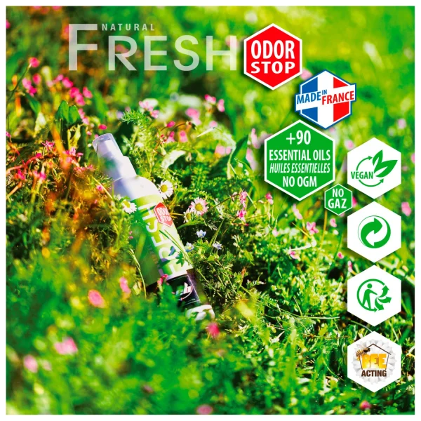 Nouveau EB – Fresh 200 – Produit D’entretien Chaussures 3